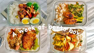 a week of bento box 🍱🥗 | ide bekal makan siang #1