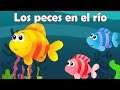 Los peces en el ro | Canciones navideas | Villancicos en espaol | Canciones infantiles