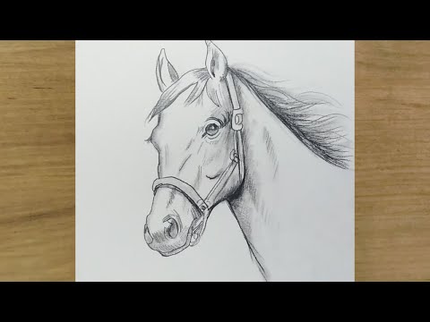 At Resmi Nasıl Çizilir  | Adım Adım At Çizimi | Karakalem Çizimleri | How To Draw Horse