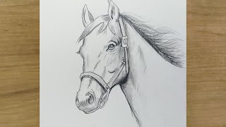 At Resmi Nasıl Çizilir | Adım Adım At Çizimi | Karakalem Çizimleri | How To Draw Horse