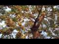 Floby Aminata Clip Officiel 