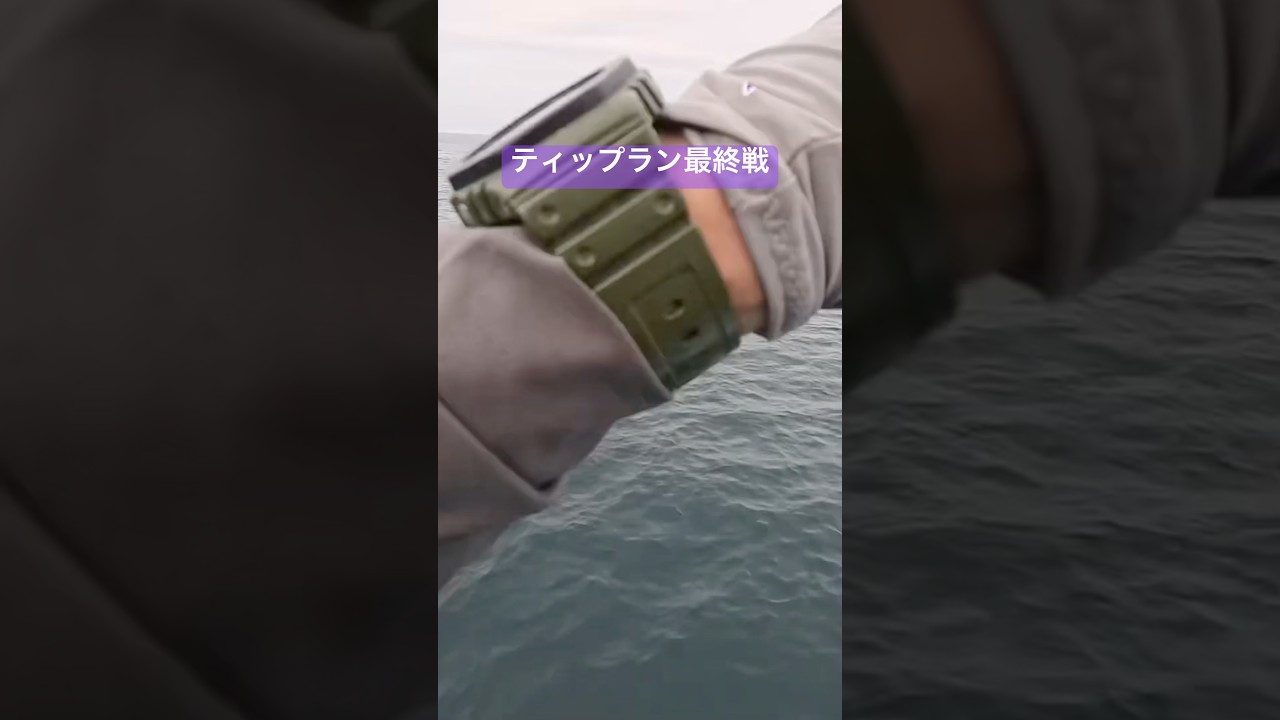25/26ティップラン最終戦🦑⛴️ #ティップラン #エギング #釣り - YouTube