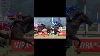 Sovereignty won the Draftkings (G1) Travers Stakes! #horse#horseracing#racehorse#sovereignty