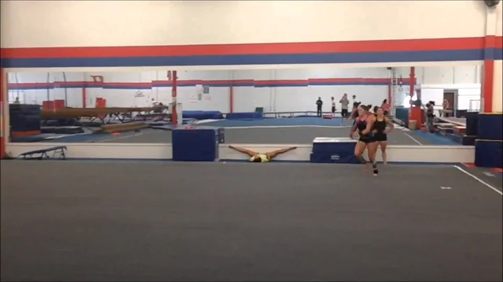 Carly Pratt 2014 Level 10 Summer Training