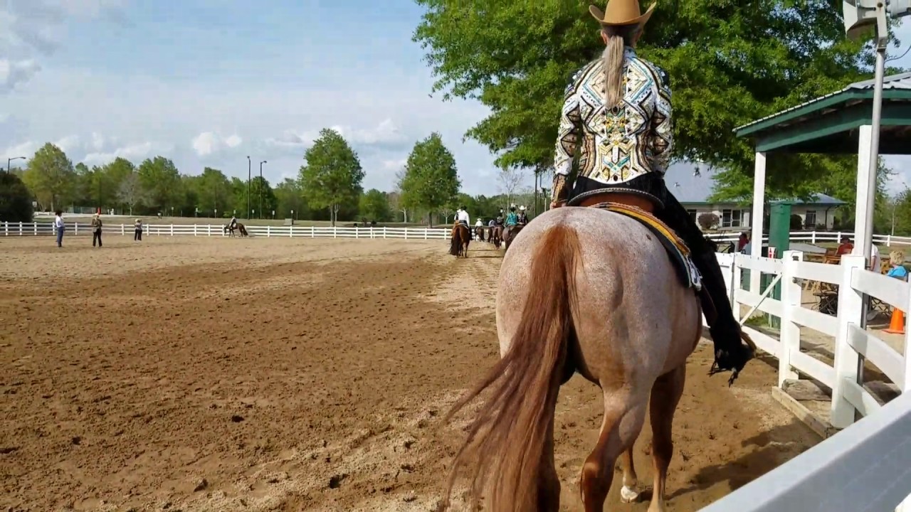 KM Boalicious 2017 Pro Am Select Amatuer Western Pleasure