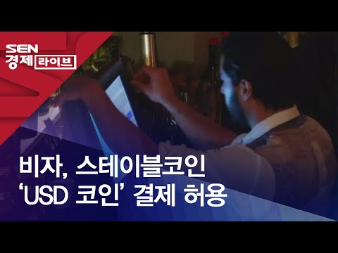   비자 스테이블코인 USD 코인 결제 허용