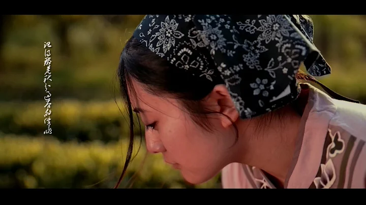 YUE XUE cinematography reel 2016