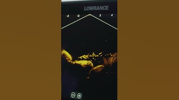 See the Bite in Real-Time | HDS Pro® + ActiveTarget® 2 in Action!