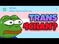 Why Do Trans People Use 4Chan?