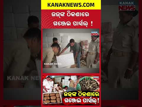 ଜଜ୍‌ଙ୍କ ଠିକଣାରେ ଗଞ୍ଜେଇ ପାର୍ସଲ୍ ! | Special Report On 400 Kg Ganja Seized| Judge’s Address on Parcels