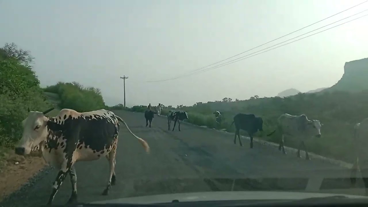Way from Khushab (Punjab) Pakistan to wadi E soon sakasar