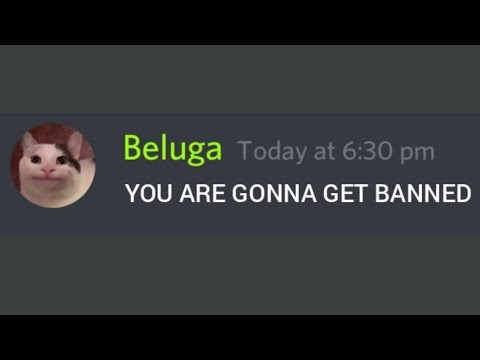 Trying to get gf on @beluga discord server