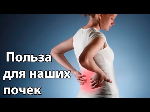 Польза для наших почек.