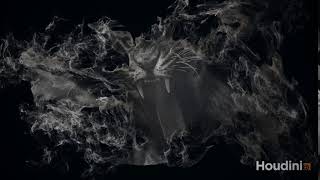 Particle Distortion