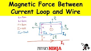 Magnetic Force Between a Current Loop and a Wire