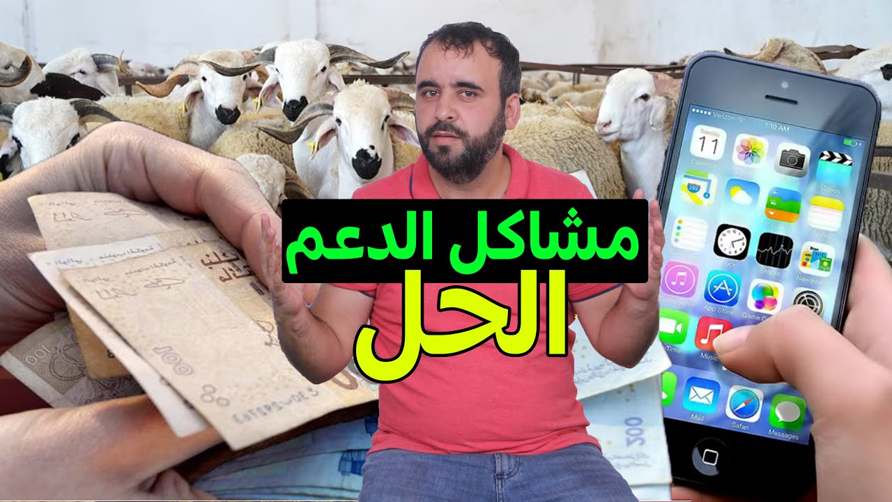 دعم الكساب💵مشاكل | مبلغ الدعم ناقص🔴مشكل الترقيم🔴رقم الهاتف🚨