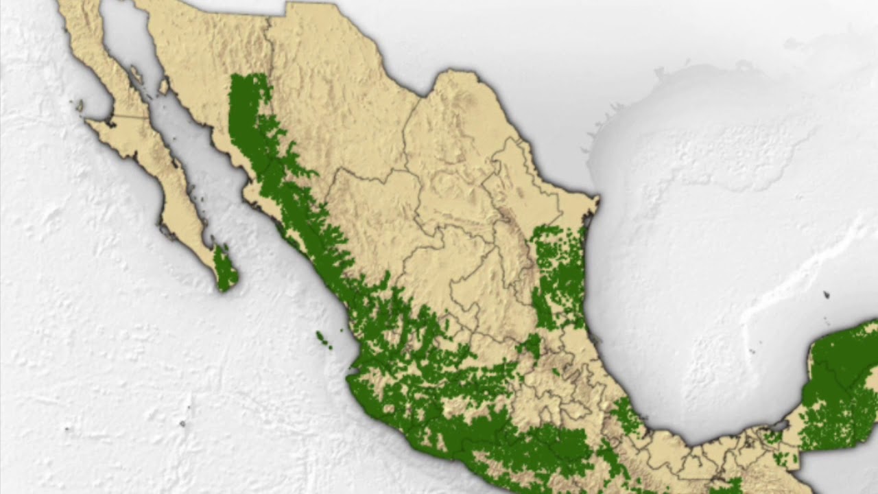 ¿Por qué México es un País Megadiverso? - YouTube