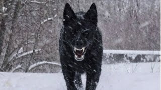 Time to Attack