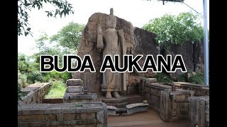 Buda Aukana - Sri Lanka