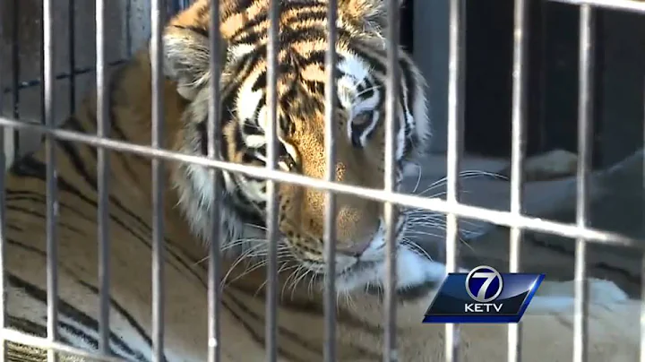 Woman sneaks into Henry Doorly Zoo, is bitten by t...