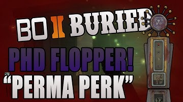 PHD FLOPPER PERMA PERK TUTORIAL! - Black Ops 2 Zombies (Nederlands)
