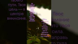 Фокус. #Фокус #Цели #Мотивация #Успех #Сосредоточенность #ЛичностныйРост #Саморазвитие #Достижения