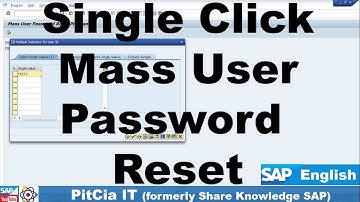 Hoe u een massaal gebruikerswachtwoord in SAP instelt | #pitciait #sap