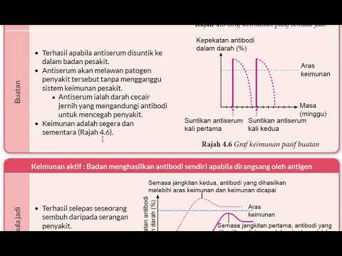 Keimunan Aktif Pasif Youtube