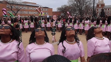 Howard University AKA Sorority, Inc. Alpha Chapter Probate | Spring 