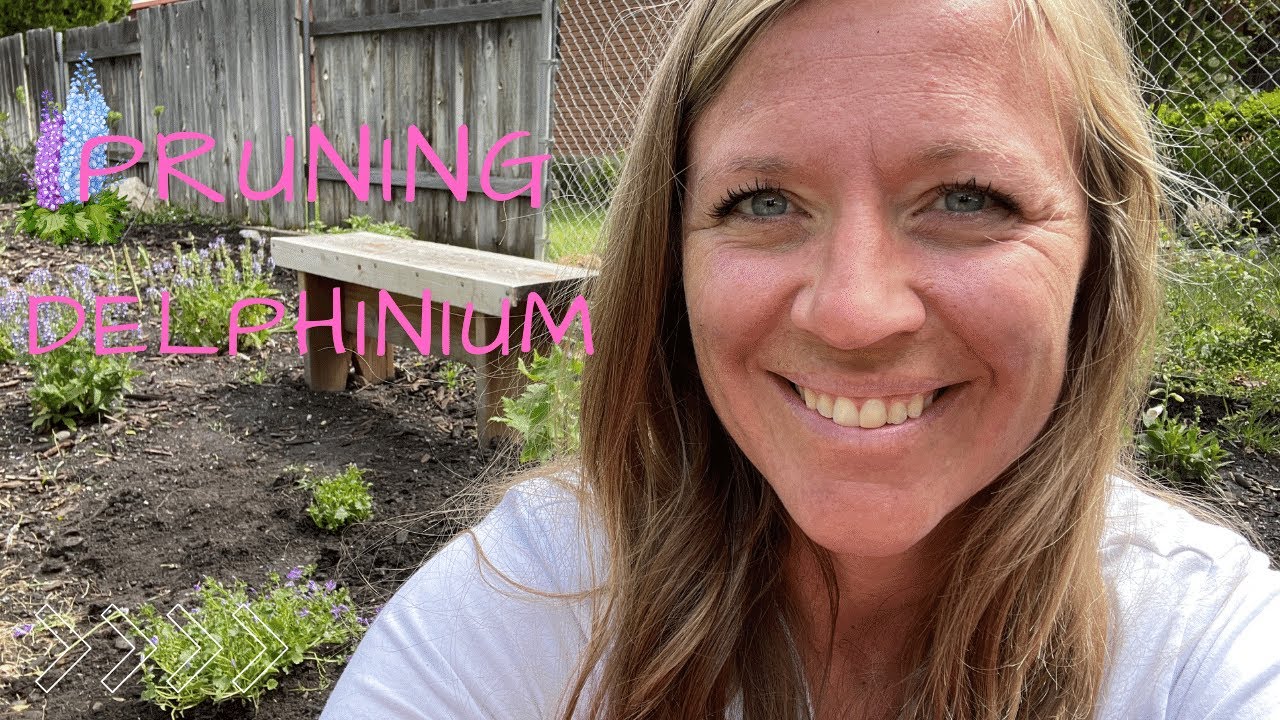 Обрезка дельфиниума для более крупных цветов и долгой жизни! Посадка фиолетового колокольчика! //...