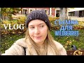 VLOG. Съемка для WILDBERRIES и немного разговоров