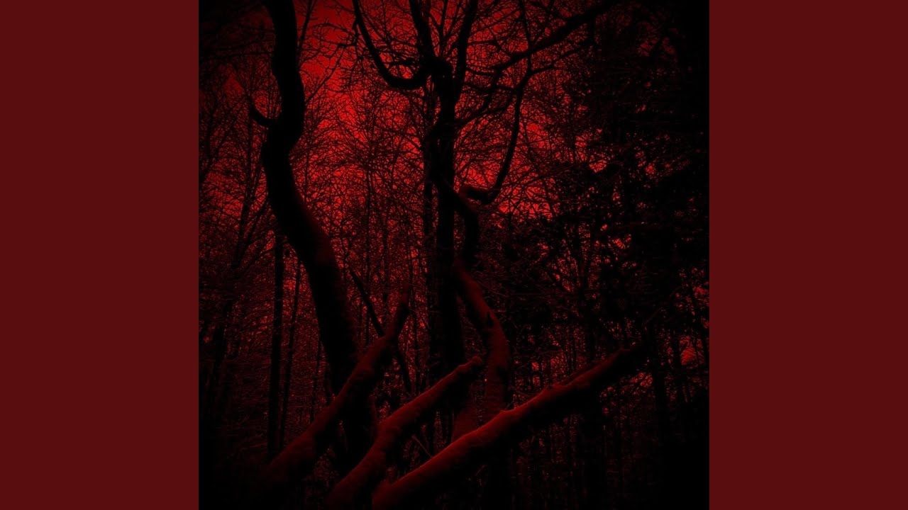 Patterns in the Morning