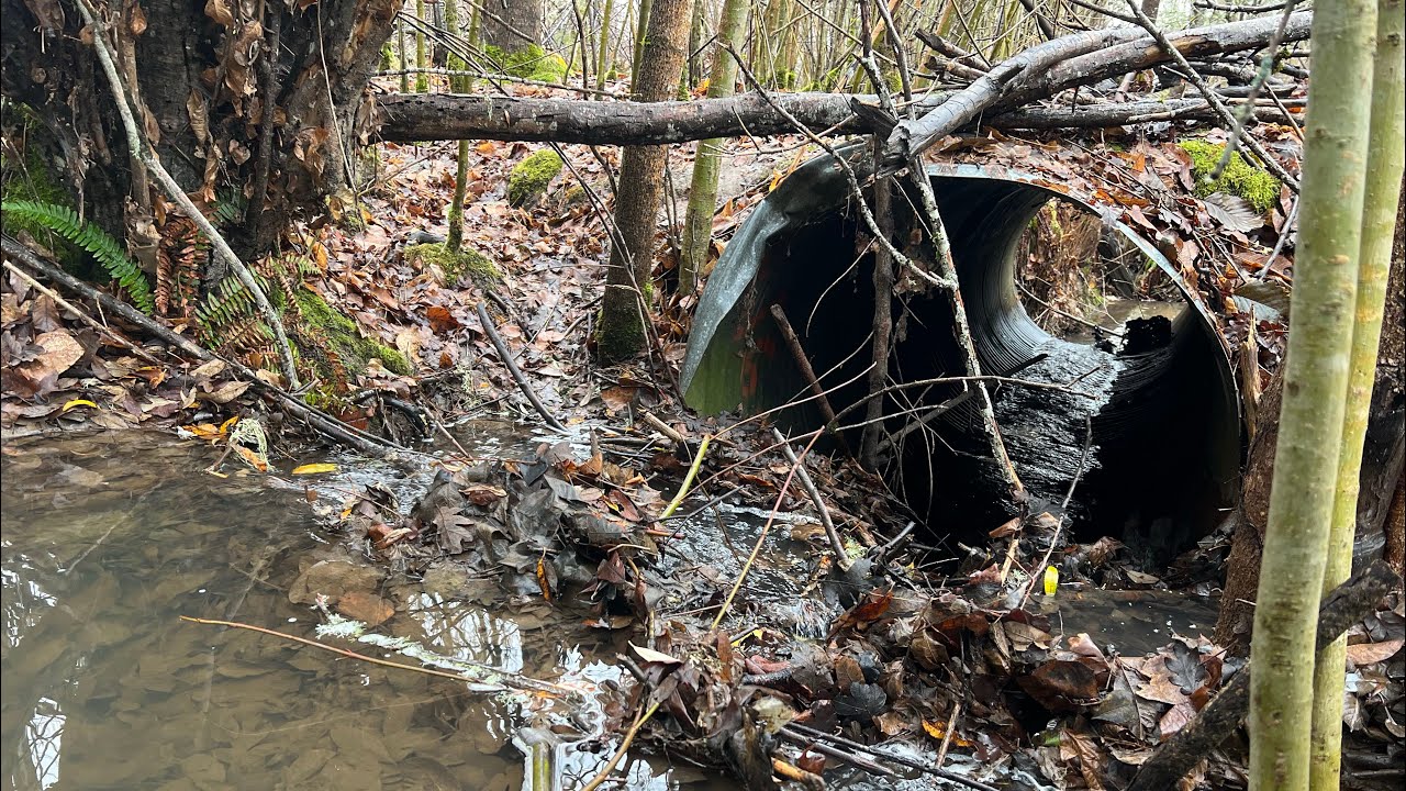 Abandoned Farm Culvert Unclogging