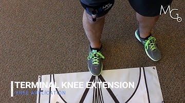 Knee Application: Terminal Knee Extension