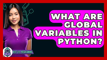 What Are Global Variables In Python? - Next LVL Programming