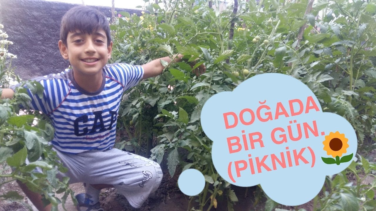 Doğada mükemmel piknik Doğada mükemmel piknik