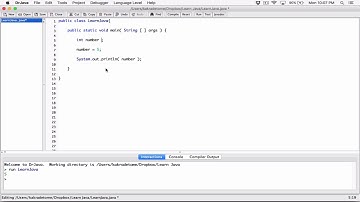 29. Declaring and initializing variables on a single line - Learn Java