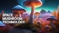 The Fascinating World of Mushrooms: A Fungal Odyssey ile ilgili video
