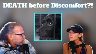 Why Correcting Dogs is THE Missing Link in Training & Certain Ideologies are Letting Dogs Down by SolidK9Training 2,184 views 1 year ago 49 minutes