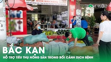 Bắc Kạn: Hỗ Trợ Tiêu Thụ Nông Sản Trong Bối Cảnh Dịch Bệnh | Báo Dân Việt