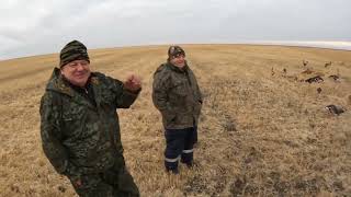 видео: Охота с друзьями на гуся 2025г. картинка: Охота с друзьями на гуся 2025г.