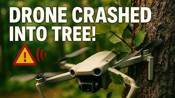 Drone Crash in the TREE! | DJI Mini 4K Fail