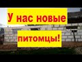 Привезли материал на крышу! Новые питомцы! Многодетная семья в селе!