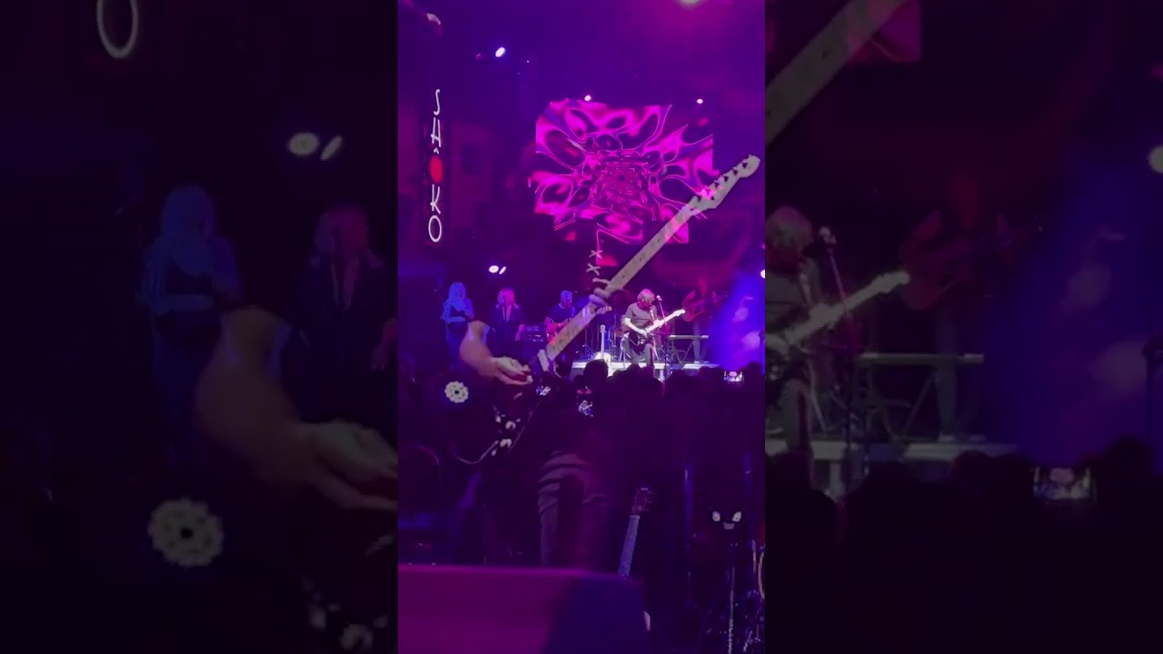 IM-PULSE Tributo Épico a Pink Floyd - Comfortably Numb en Vivo (Sala Shoko Madrid Noviembre 2023)