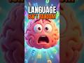 1,700-Language Study Proves the Pattern
