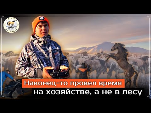 Начали по немногу выгонять Жеребят на прогулку | Лошадь провалилась в прорубь | КФХ Идиятуллина