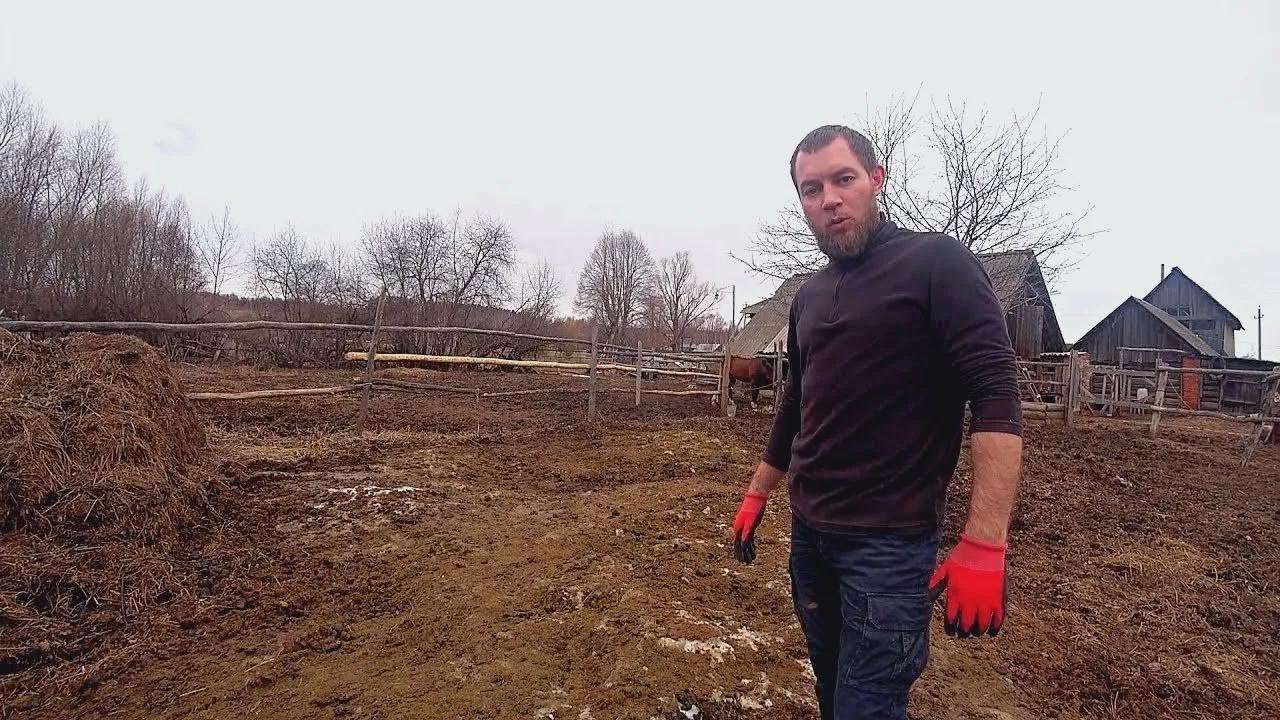 Neuzugang auf dem Hof: Garten komplett mit Mist gedüngt – Landleben in Russland