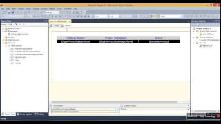 How To Create Parameters In SSRS-Video5