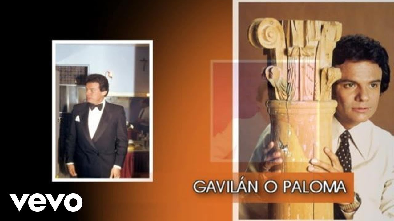 José José - Gavilán o Paloma (Cover Audio) José José - Gavilán o Paloma (Cover Audio)