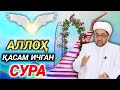 •Alloh qasam ichgan Sura• | Nuriddin hoji domla | Нуриддин хожи домла